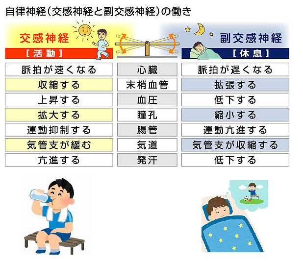 その２　自律神経の症状とは