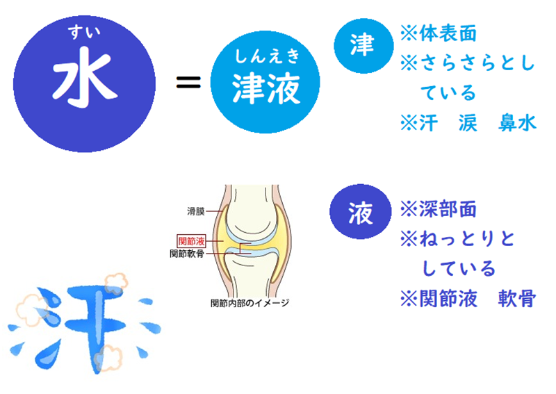 東洋医学とは？