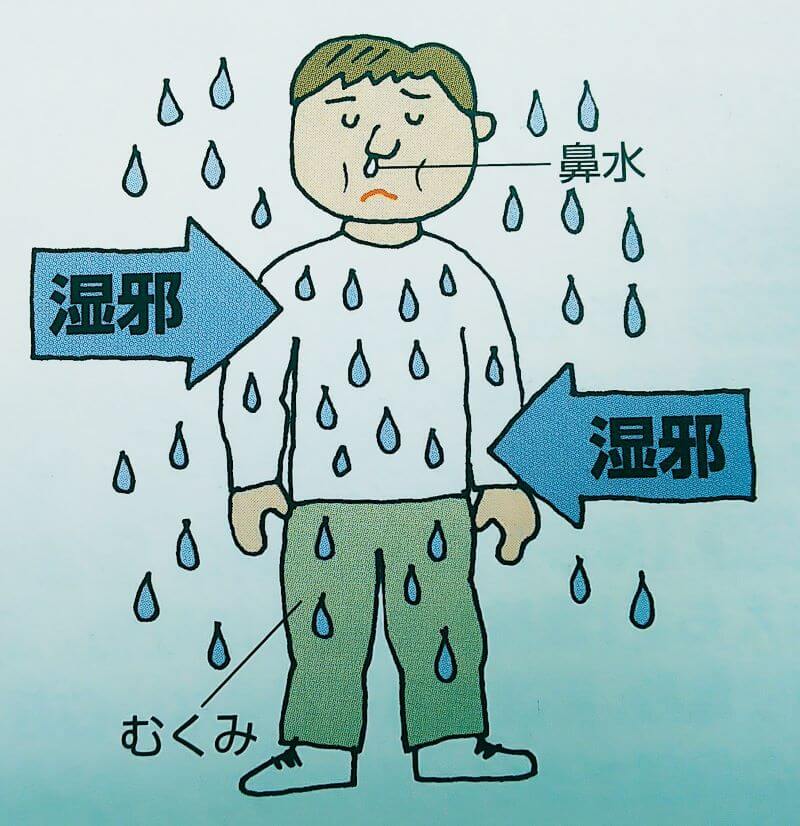 湿邪