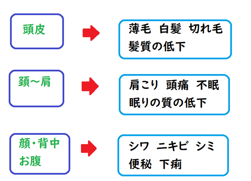 お肌のトラブル３大原因（ストレス編）